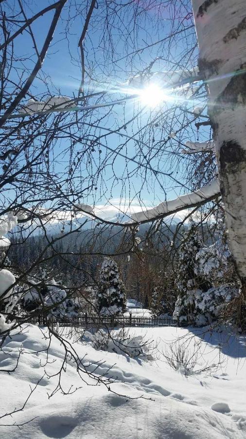 Jasmin Bukowina Tatrzańska Exterior foto